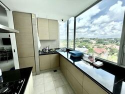 The Grange (D10), Condominium #569627271